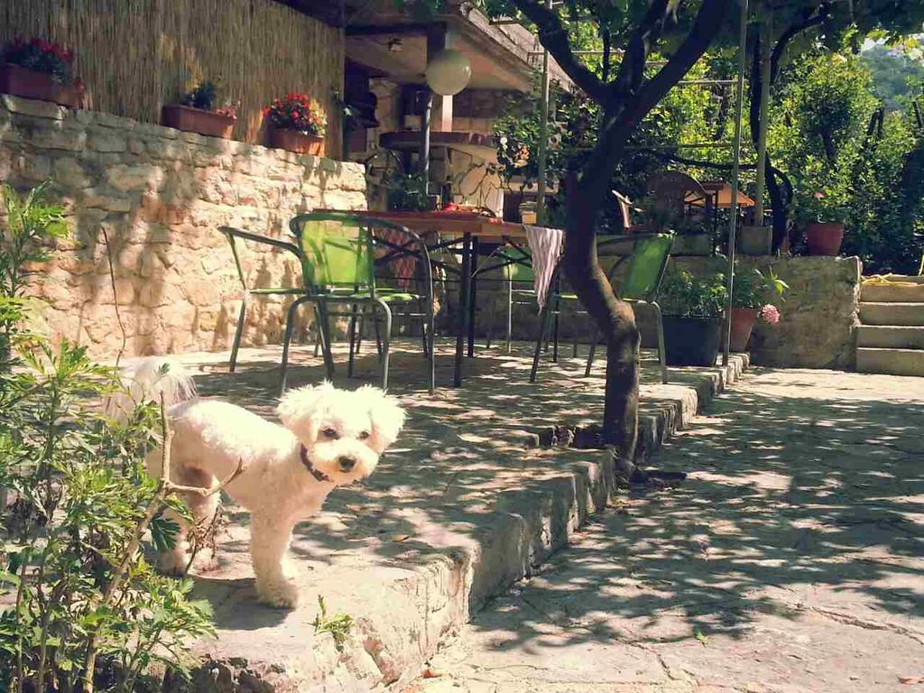 Apartmani Stefanovic Herceg Novi Exteriör bild